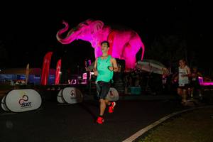 BIB: 
                            <button type="button" onclick="openModal(26535182)" class="btn btn-primary btn-sm float-right btn-popup" data-toggle="modal" data-target=".modal-high-quality">
                        <i class="fas fa-shopping-cart"></i> Add to Cart
                    </button>
                                            <button type="button" onclick="isThisMe(26535182, true)" class="btn btn-success btn-sm float-right btn-popup btn-isme hidden" data-toggle="tooltip" data-placement="bottom" title="นี่คือรูปของคุณใช่ไหม คลิกที่นี่เพื่อเอาเข้าอัลบั้ม">
                        <i class="fas fa-plus"></i> Add to album
                    </button>
                    <button type="button" onclick="isThisMe(26535182, false)" class="btn btn-warning btn-sm float-right btn-popup btn-isnotme hidden">
                        <i class="fas fa-ban"></i> Remove from album
                    </button>